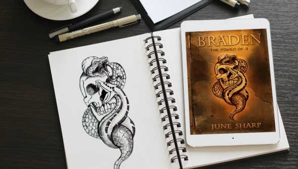 Braden 'power of 3' Sketch work in process - ebook Cover Art