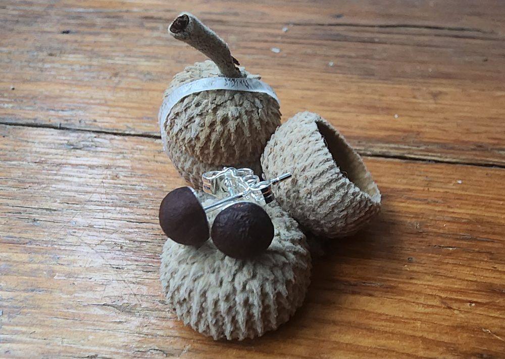 Fossil Berry Stud Earings